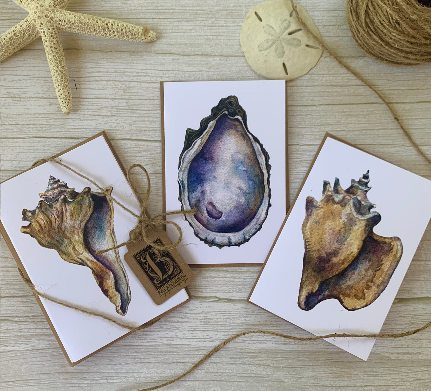 Seashell Notecard Set – 6 Pack-Greeting & Note Cards-Breadcrumbs Paper Co