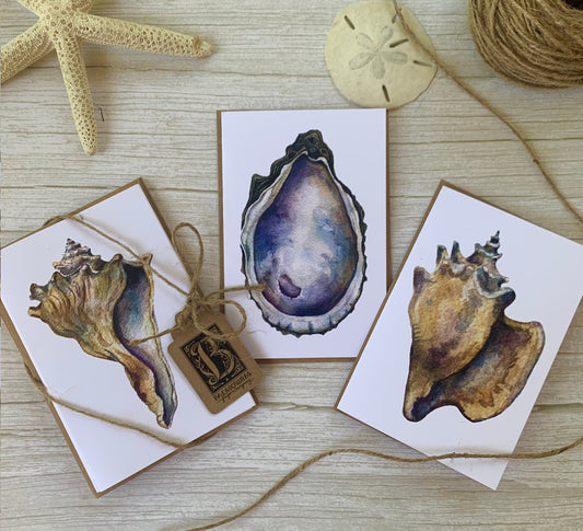 Seashell Notecard Set – 6 Pack-Greeting & Note Cards-Breadcrumbs Paper Co