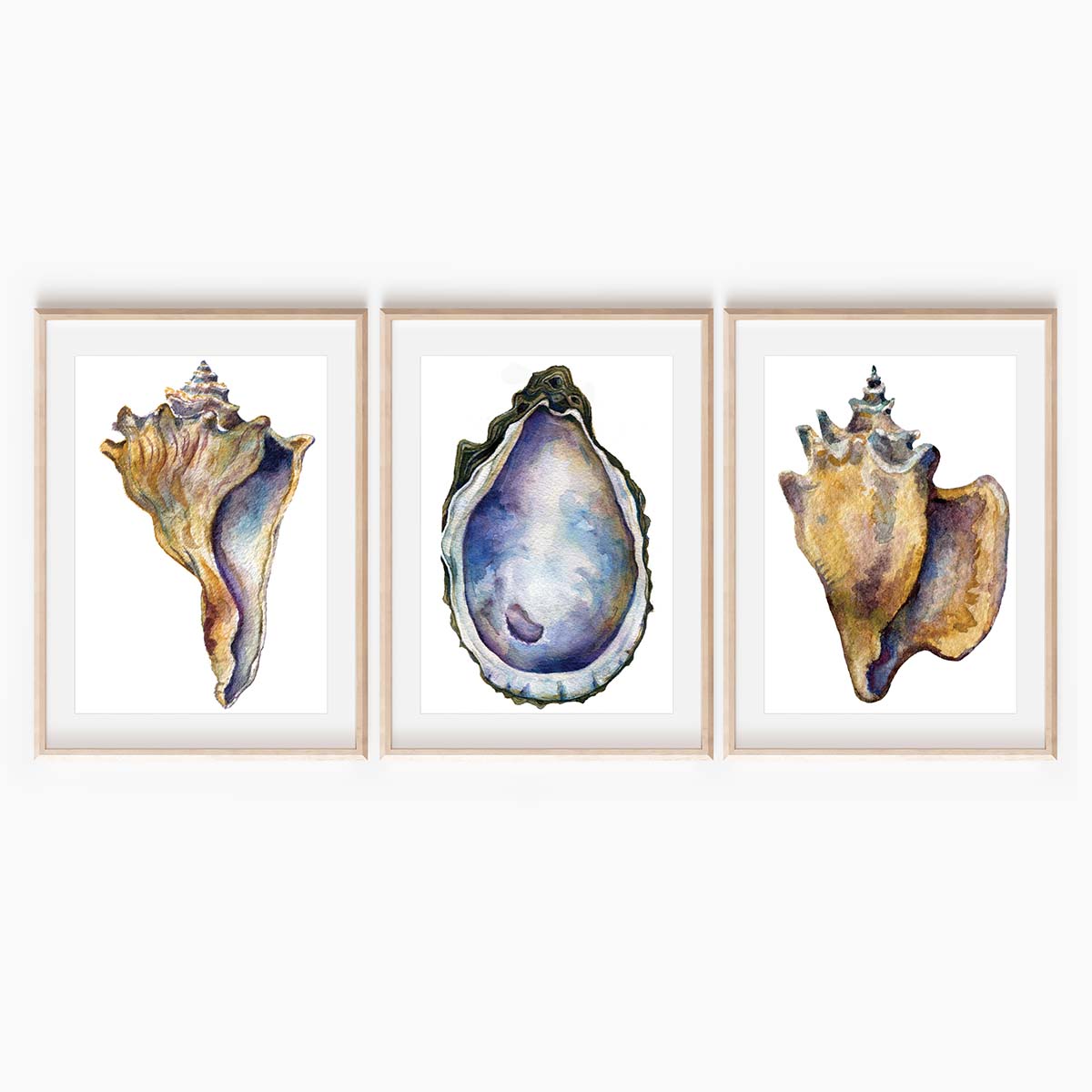 Sea Shells Print Collection – Set of 3